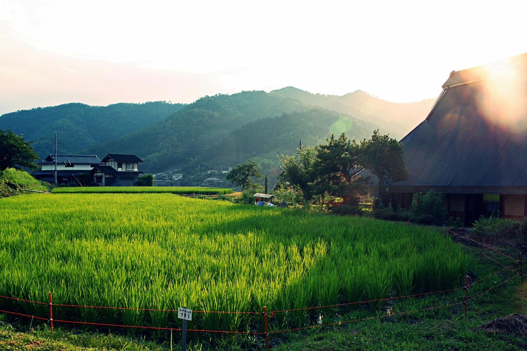 古民家の宿 ふるま家 Furumaya House Gastronomic Farmstay In Deep Kyoto ฟุกุจิยามะ ภายนอก รูปภาพ